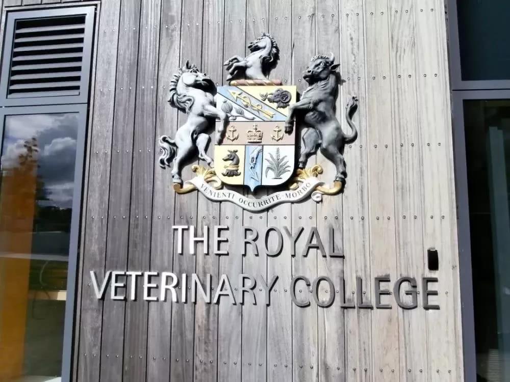 有所为有所不为 | 英国兽医——小众而神秘的学科