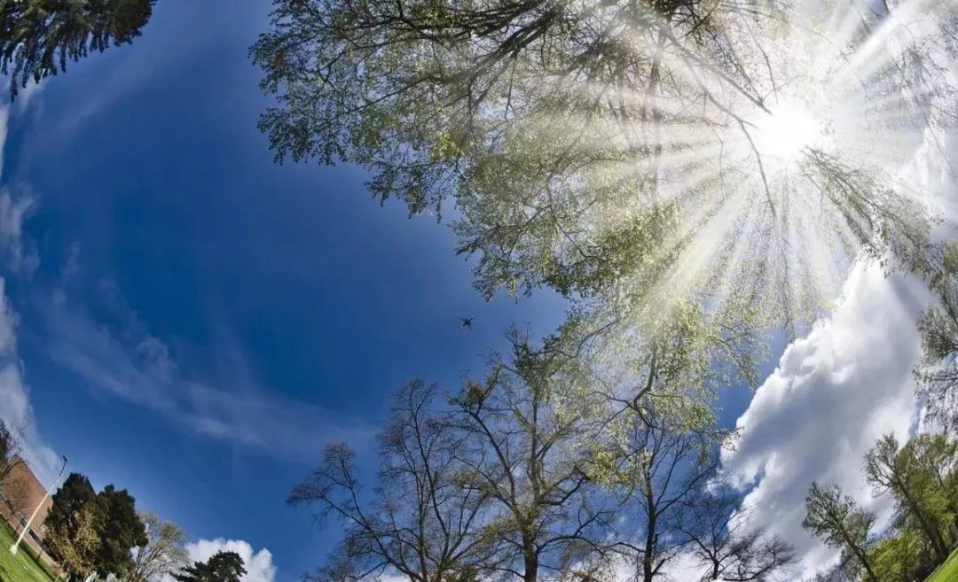 2019QS英国排名深入解读，最强商科选校参考来了！