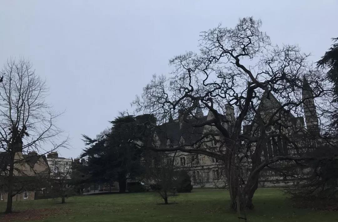 家长教育分享 ｜弱弱的家长如何带出自力更生的牛津学子