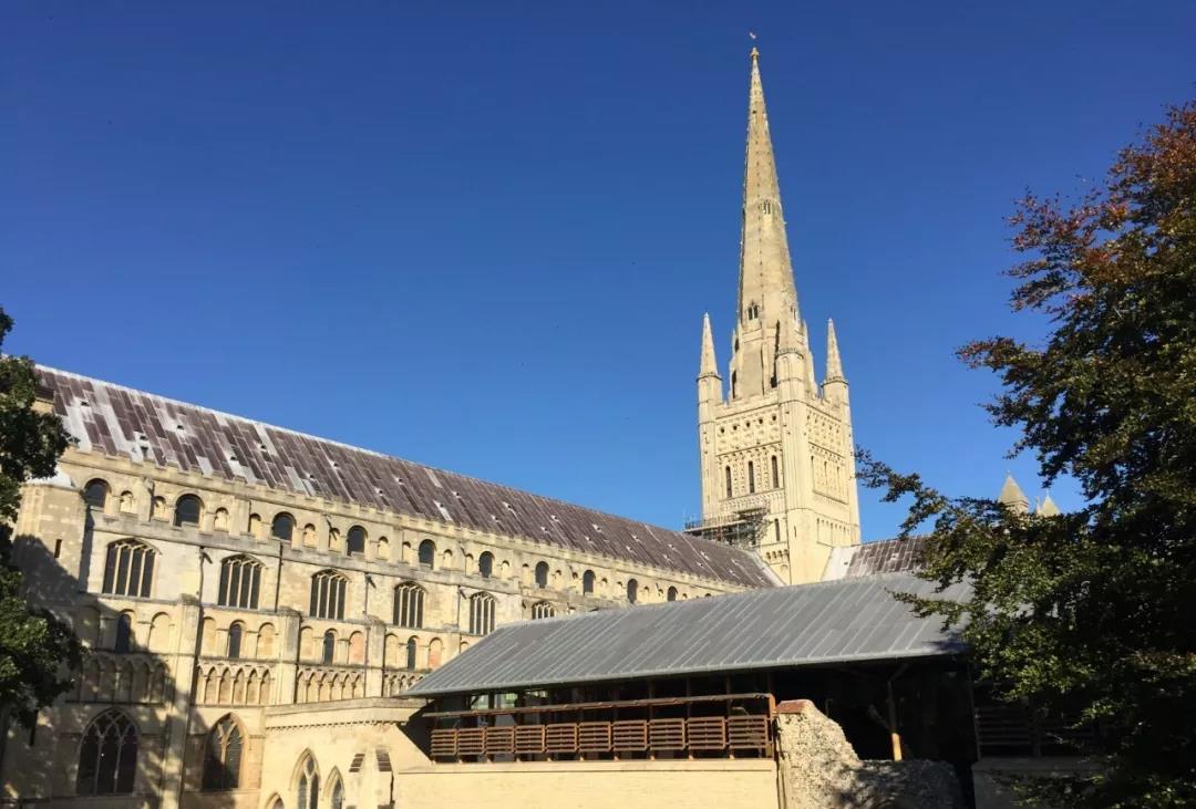 望眼欲穿盼成绩？8月提神醒脑的A-Level查（高）分攻略来了!