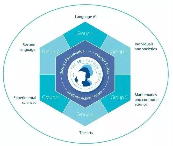 IB｜草莓是红色的，你确定吗？让TOK来打破你的惯常思维！