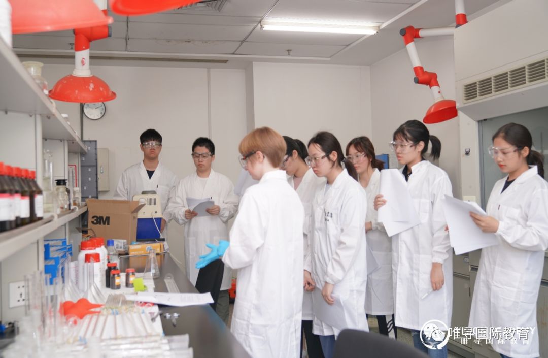 从113位牛剑录取者的申请背景，看名校录取的真正要求！