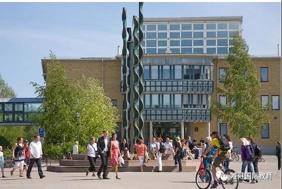 名师专访｜抛下体制内“铁饭碗”，竟成为我最有成就感的事情